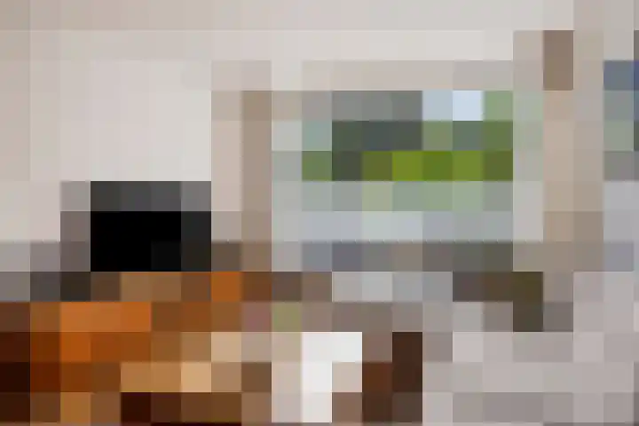 Texelstroomlaan 64 Den Helder thumbnail 9