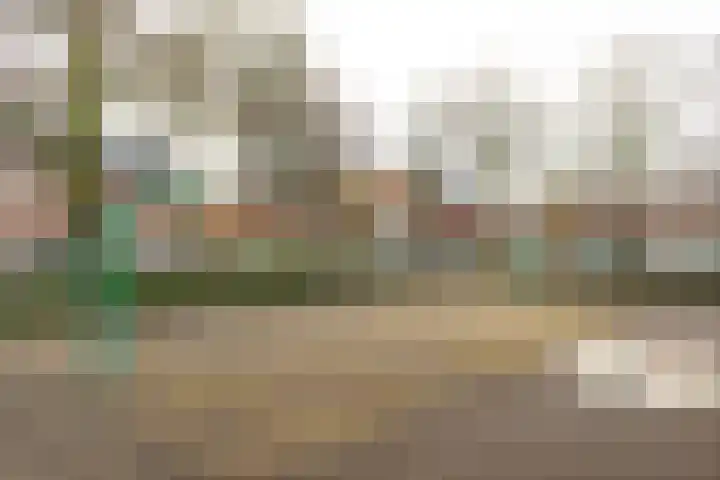Teylerplein 69 Haarlem thumbnail 28