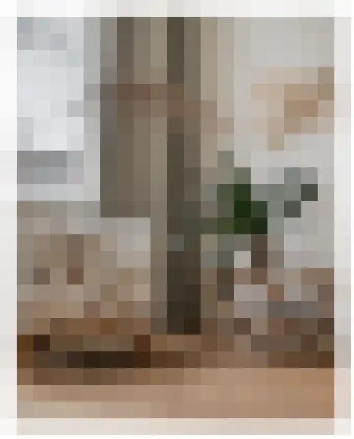 Teylerplein 69 Haarlem thumbnail 4
