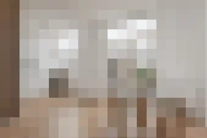 Teylerplein 69 Haarlem thumbnail 9