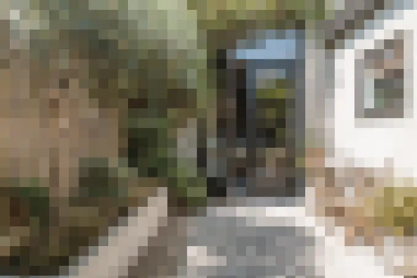 Teylerplein 71 Haarlem thumbnail 35