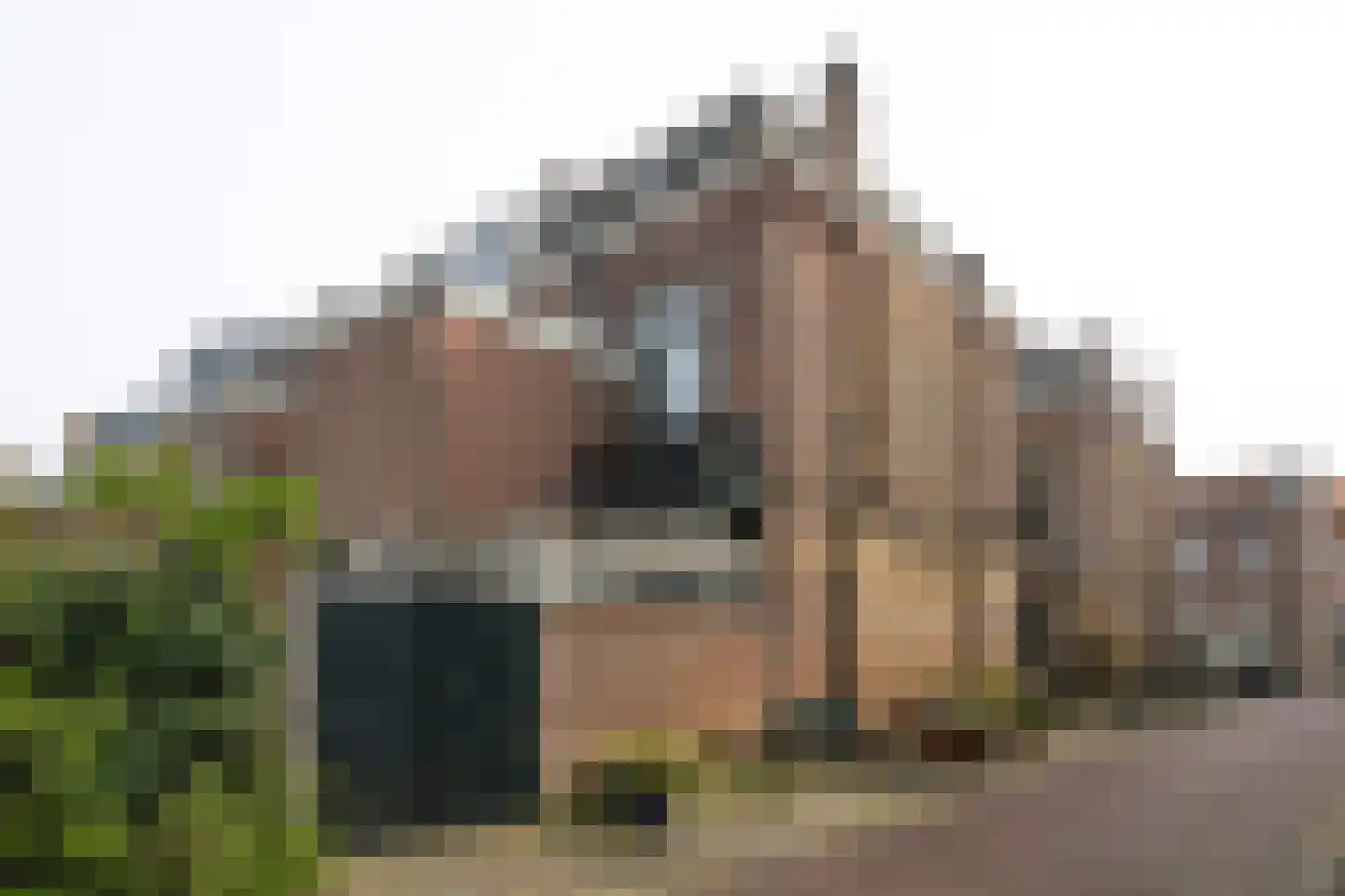 Teylershofjestraat 1 RD Haarlem thumbnail 25