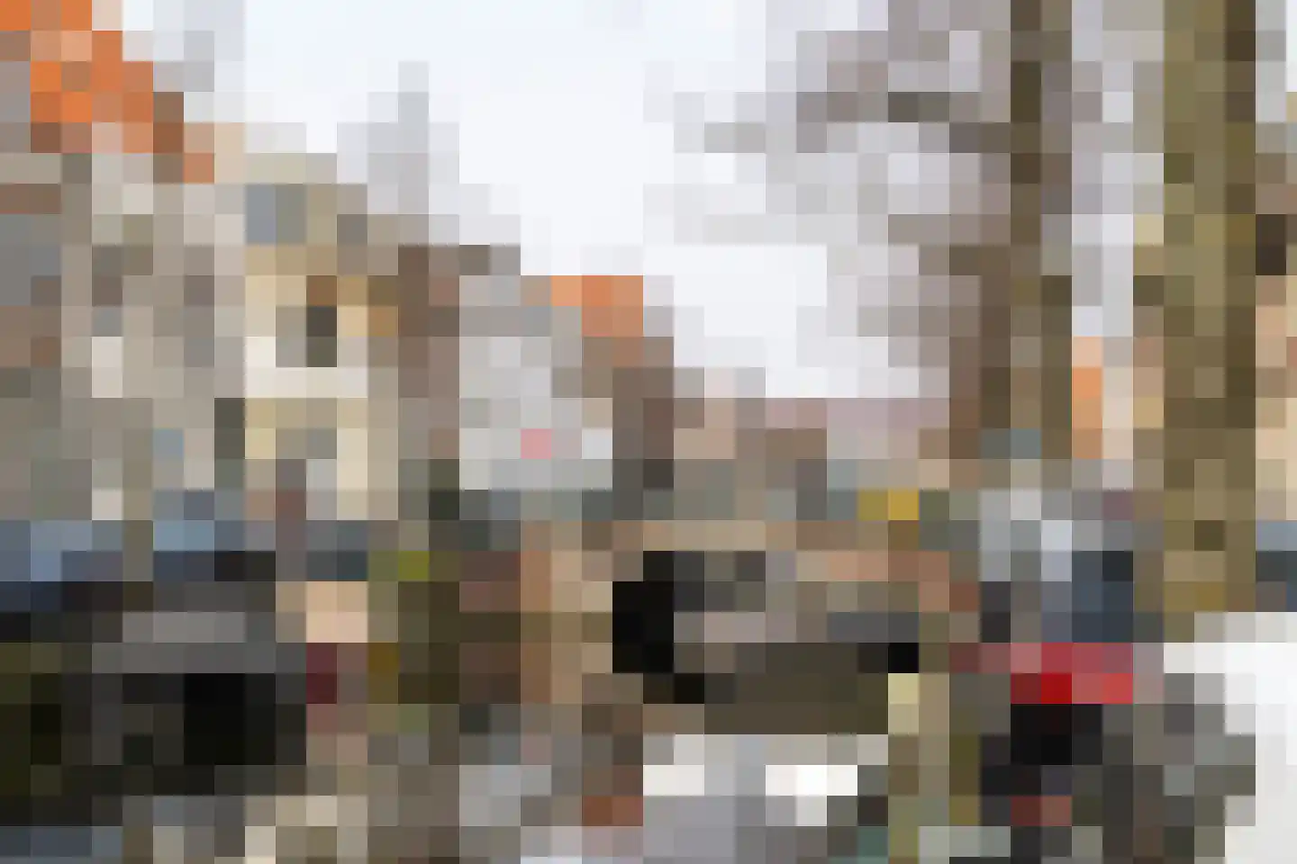Teylershofjestraat 1 RD Haarlem thumbnail 27