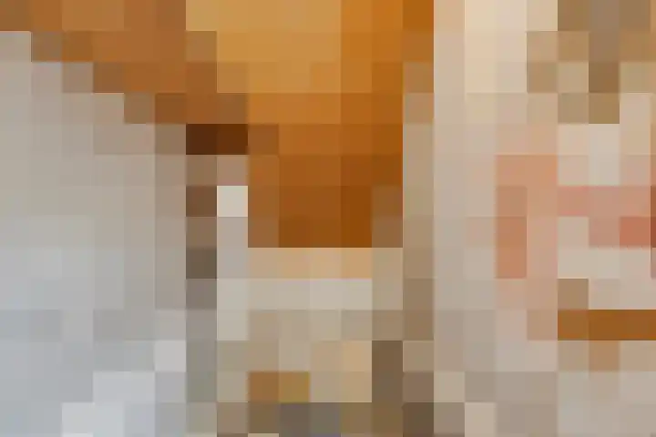 Teylershofjestraat 3 ZW Haarlem thumbnail 18