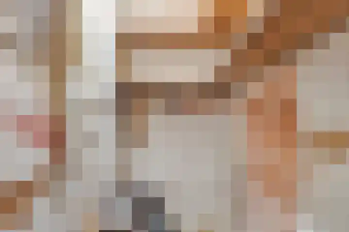 Teylershofjestraat 3 ZW Haarlem thumbnail 19