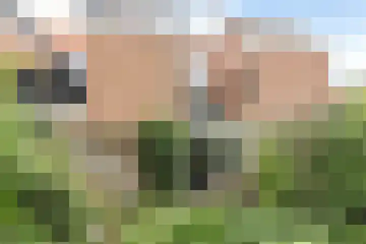 Teylershofjestraat 3 ZW Haarlem thumbnail 26