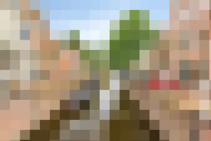 Teylershofjestraat 3 ZW Haarlem thumbnail 35