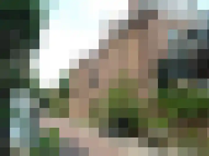 Teylershofjestraat 3 ZW Haarlem thumbnail 6