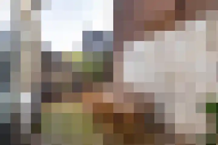 Teylershofjestraat 8 Haarlem thumbnail 11