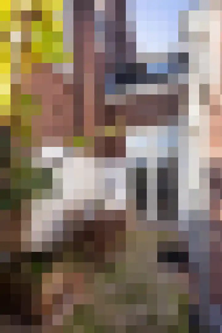 Teylershofjestraat 8 Haarlem thumbnail 13