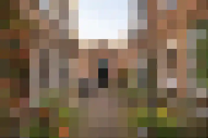 Teylershofjestraat 8 Haarlem thumbnail 24