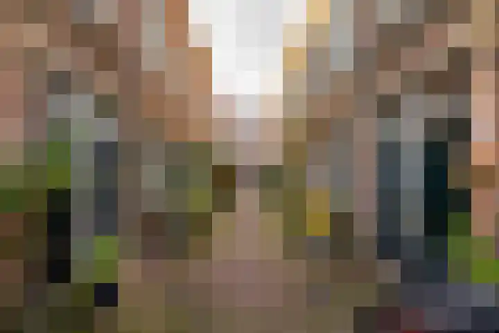 Teylershofjestraat 8 Haarlem thumbnail 25