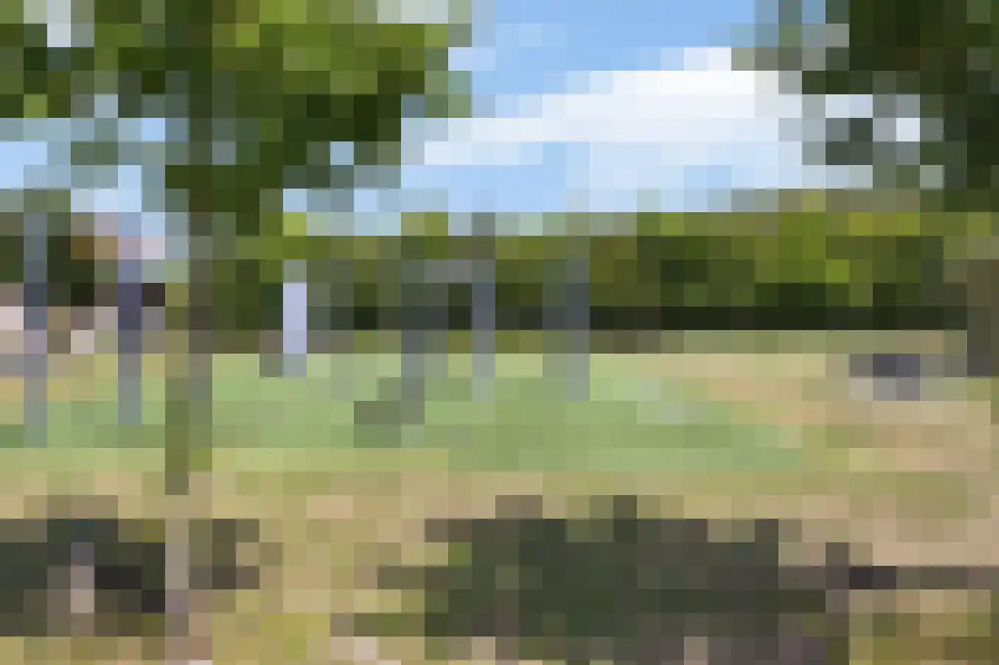 Teylersplein 2 C 12 Nieuwveen thumbnail 26
