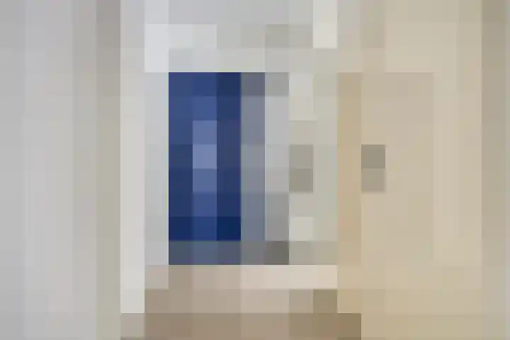 Teylerstraat 14 Schiedam thumbnail 12