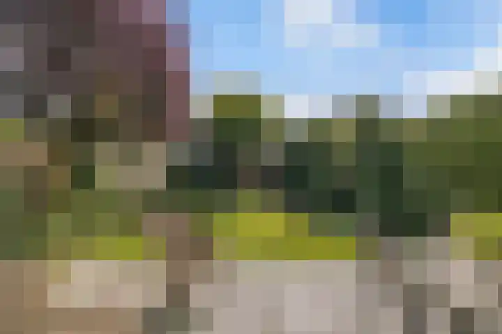 Teylingen 10 Huizen thumbnail 26