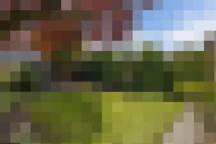Teylingen 10 Huizen thumbnail 27
