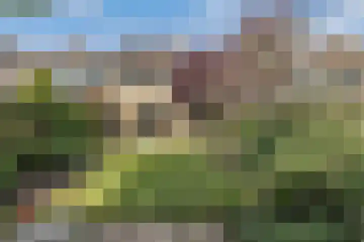 Teylingen 10 Huizen thumbnail 29