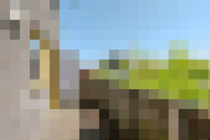 Teylingen 4 Lelystad thumbnail 38