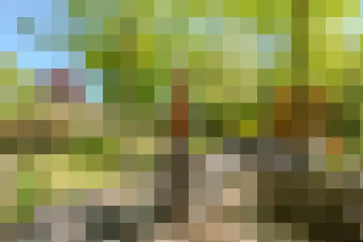 Teylingen 4 Lelystad thumbnail 4