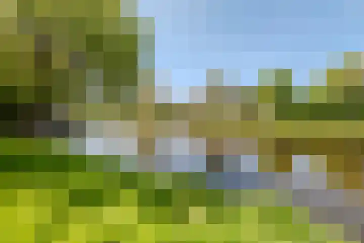 Teylingen 4 Lelystad thumbnail 62