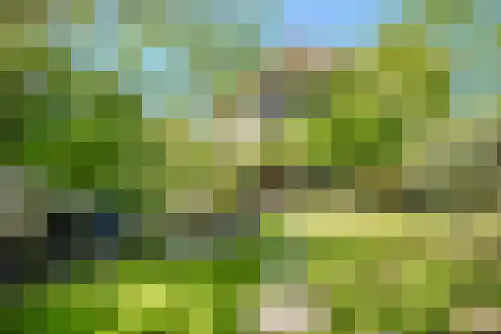 Teylingen 4 Lelystad thumbnail 69