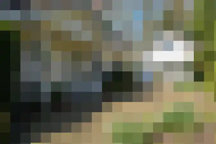 Teylingerhorstlaan 13 C Wassenaar thumbnail 10