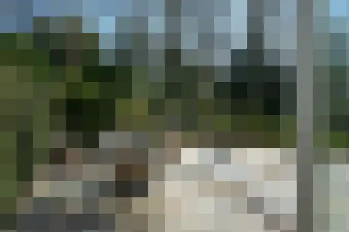 Teylingerhorstlaan 13 C Wassenaar thumbnail 27