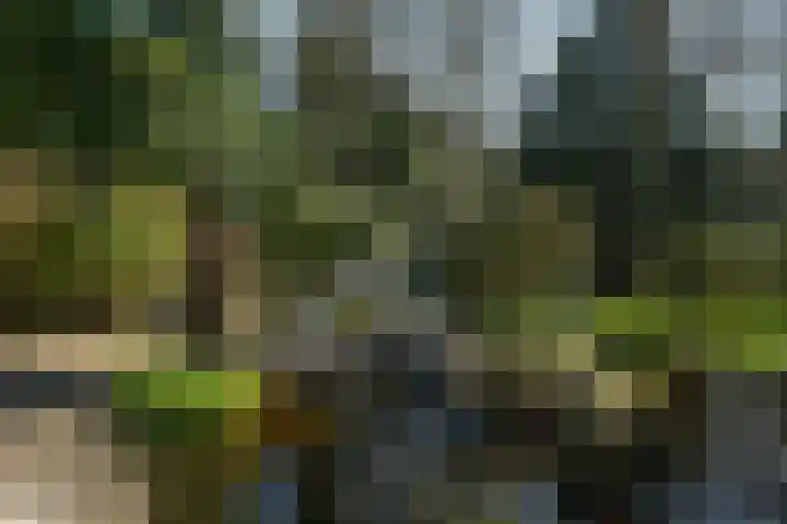 Teylingerhorstlaan 13 C Wassenaar thumbnail 28