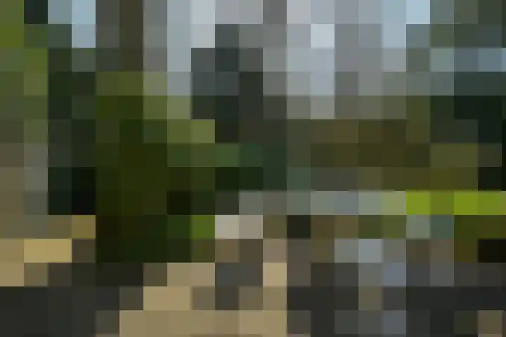 Teylingerhorstlaan 13 C Wassenaar thumbnail 29
