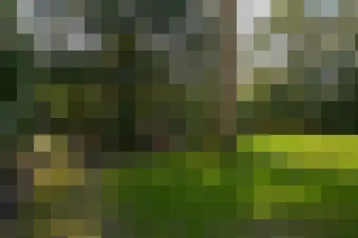 Teylingerhorstlaan 13 C Wassenaar thumbnail 30