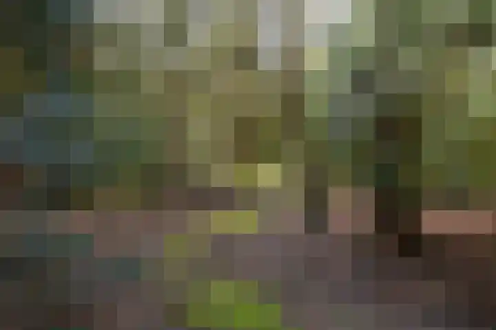 Teylingerhorstlaan 13 C Wassenaar thumbnail 31