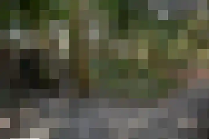 Teylingerhorstlaan 13 C Wassenaar thumbnail 32