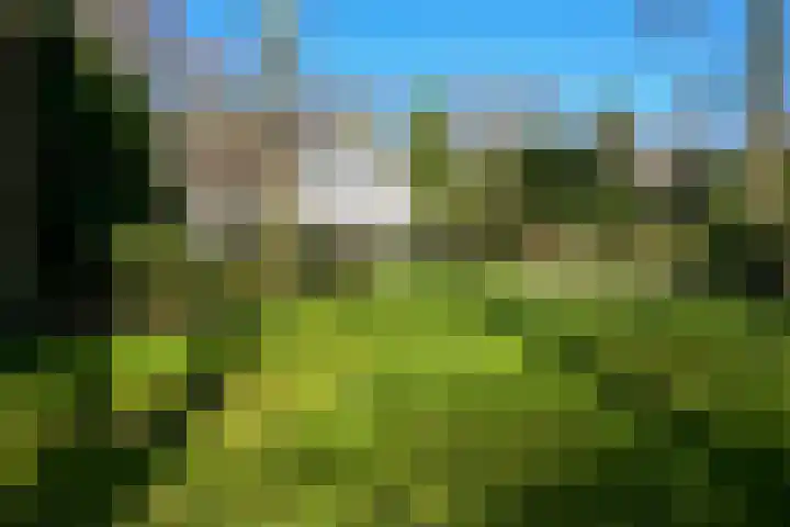 Teylingerhorstlaan 13 C Wassenaar thumbnail 33