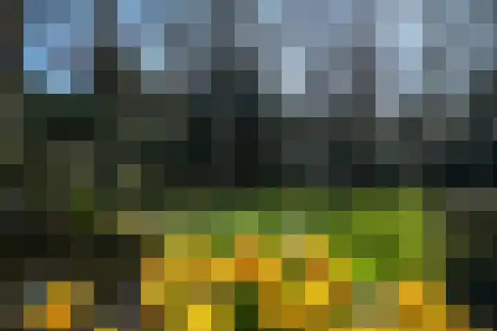 Teylingerhorstlaan 13 C Wassenaar thumbnail 34
