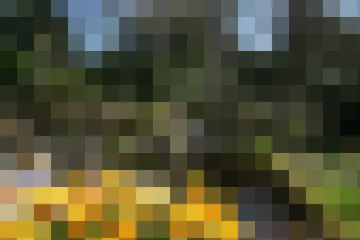 Teylingerhorstlaan 13 C Wassenaar thumbnail 35