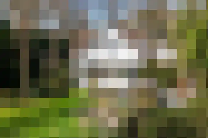 Teylingerhorstlaan 13 C Wassenaar thumbnail 36