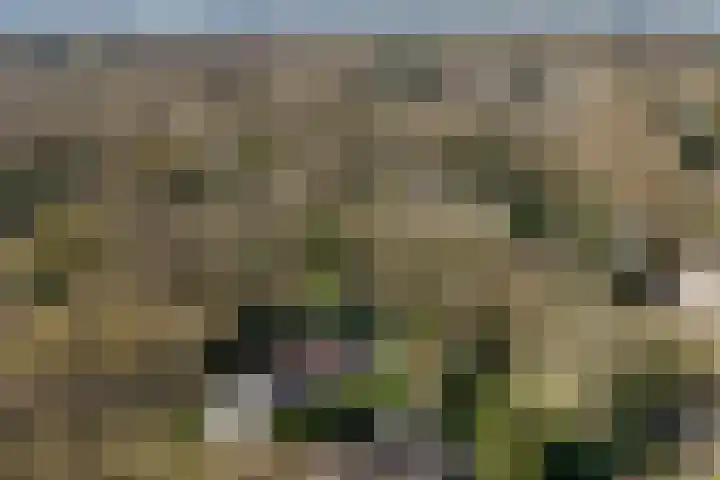 Teylingerhorstlaan 13 C Wassenaar thumbnail 4