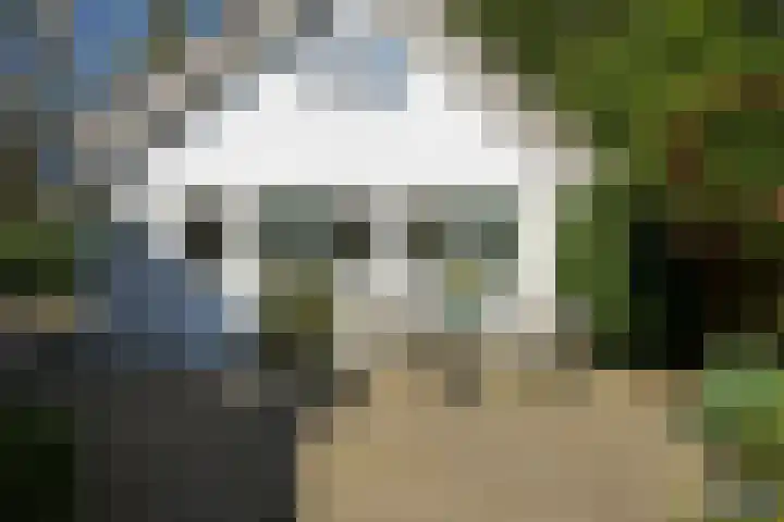 Teylingerhorstlaan 13 C Wassenaar thumbnail 54