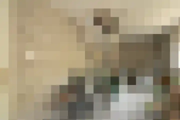 Teylingerhorstlaan 13 C Wassenaar thumbnail 56