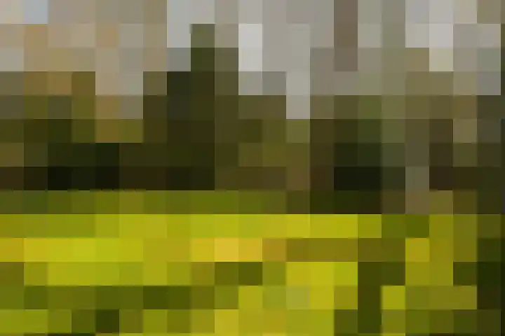 Teylingerhorstlaan 13 C Wassenaar thumbnail 58