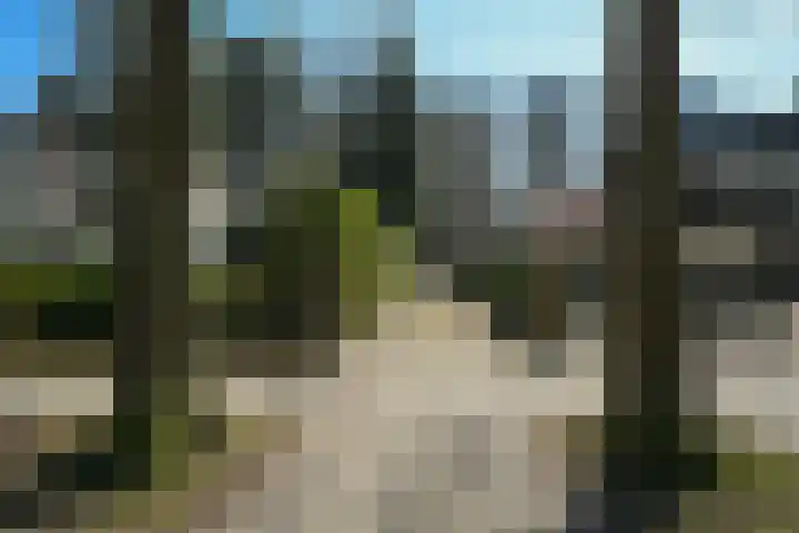Teylingerhorstlaan 13 C Wassenaar thumbnail 6