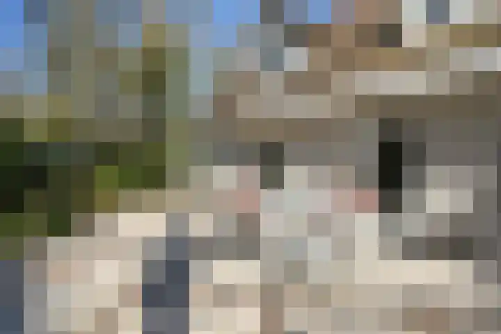Teylingerhorstlaan 13 C Wassenaar thumbnail 8