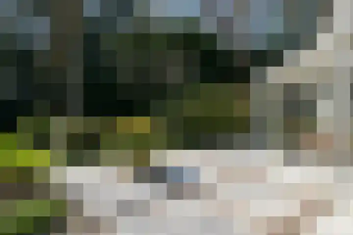 Teylingerhorstlaan 13 C Wassenaar thumbnail 9