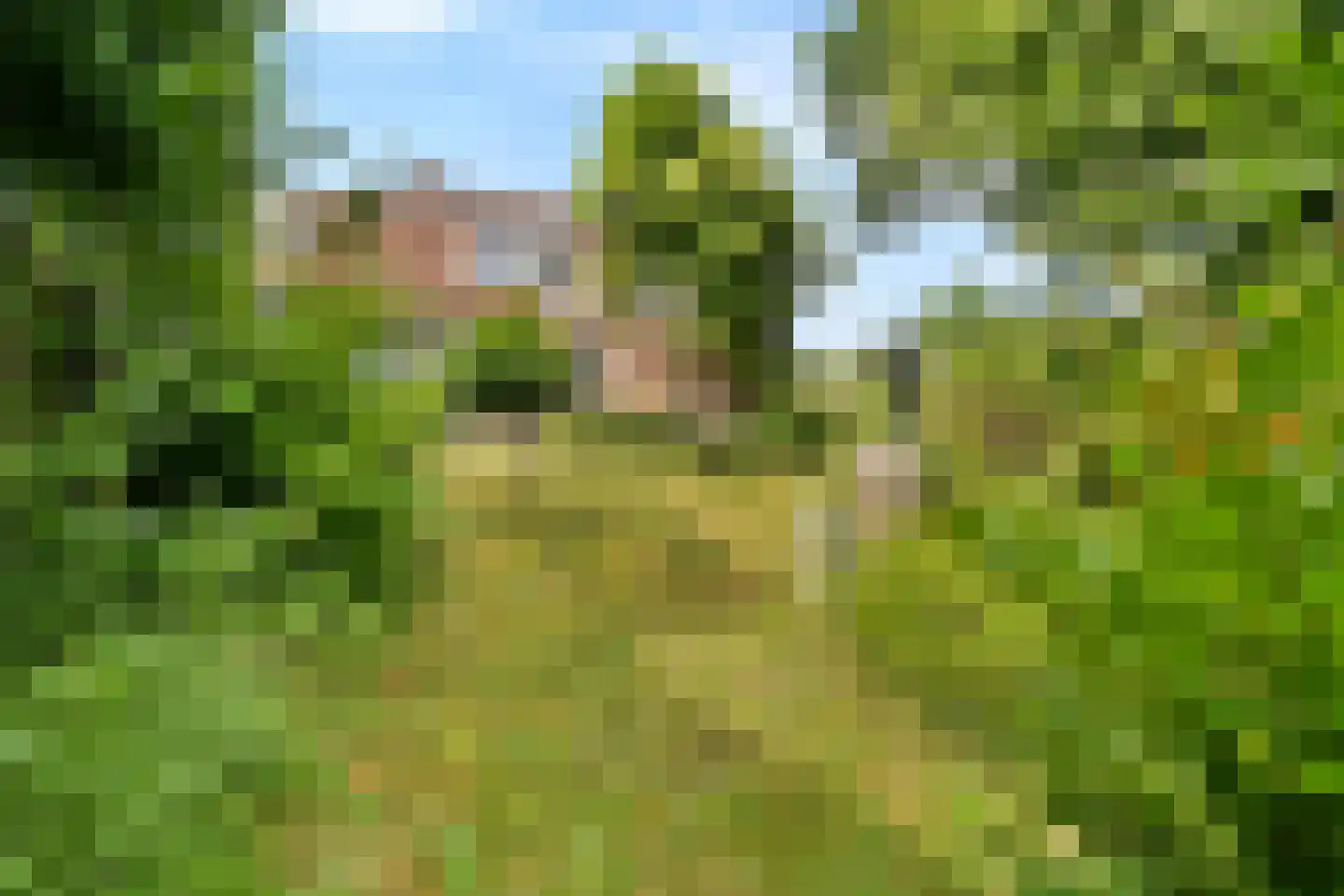 Teylingerlaan 72 Voorhout thumbnail 19