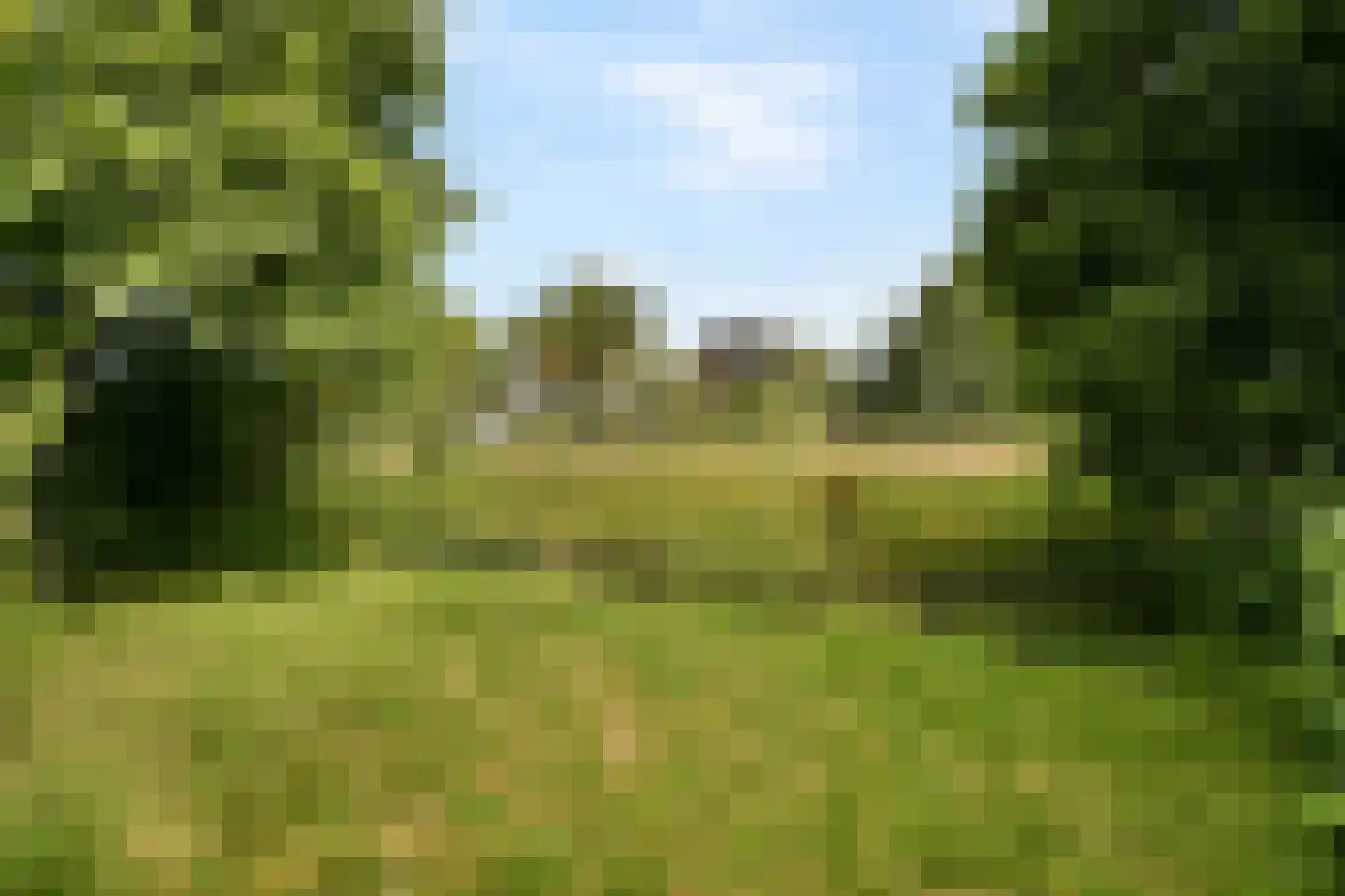 Teylingerlaan 72 Voorhout thumbnail 20