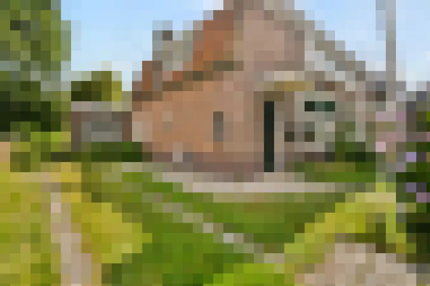 Teylingerlaan 72 Voorhout thumbnail 22