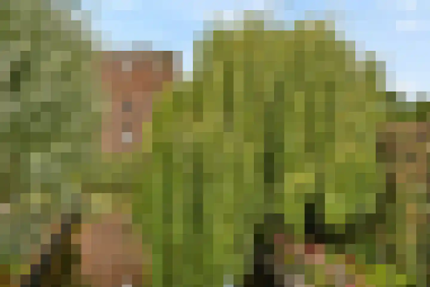 Teylingerlaan 72 Voorhout thumbnail 32