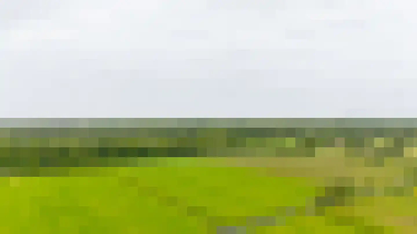 Teylingerweg 123 Vogelenzang thumbnail 19