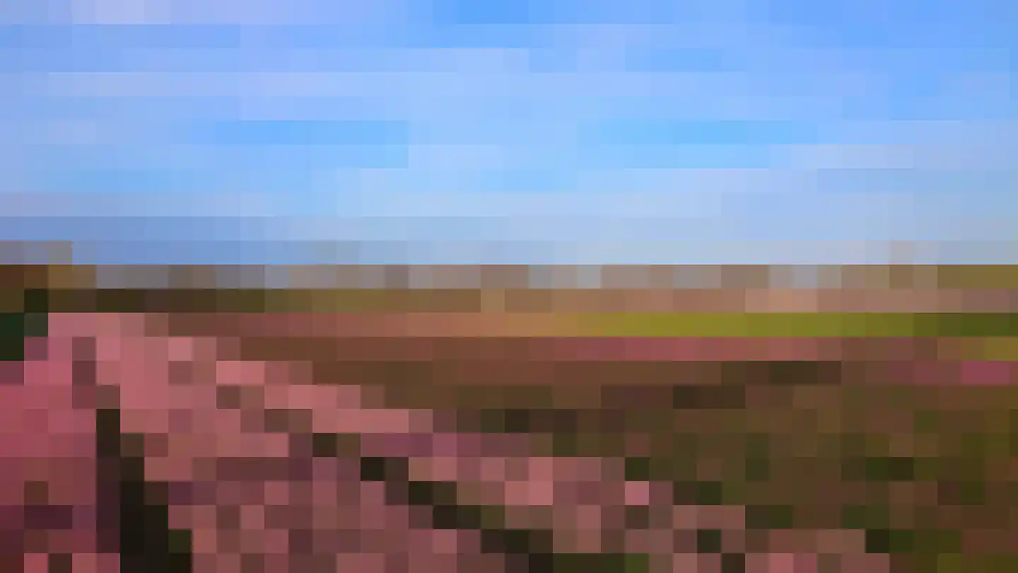 Teylingerweg 123 Vogelenzang thumbnail 40
