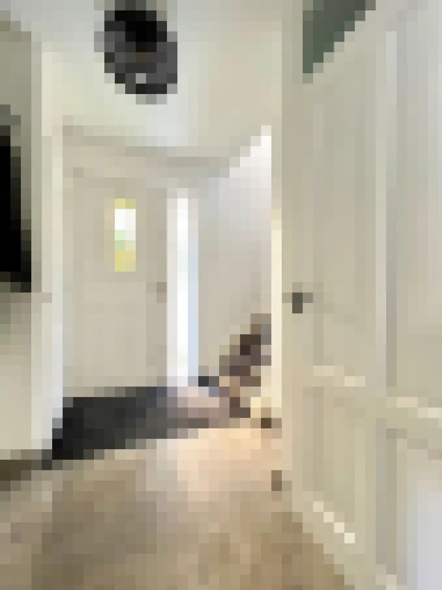 Th Elsenstraat 4 Montfoort thumbnail 20